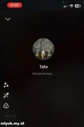 Koko Malay Order VCS Gadis Bali